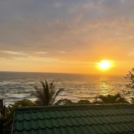 Villa Rasta - Ocean View Bungalows Port Antonio Buitenkant foto