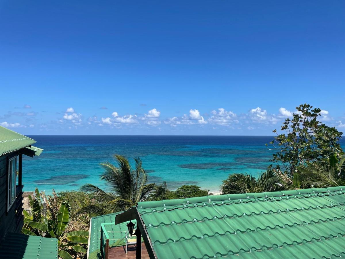 Villa Rasta - Ocean View Bungalows Port Antonio Buitenkant foto