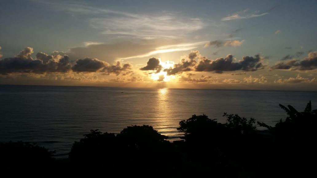 Villa Rasta - Ocean View Bungalows Port Antonio Buitenkant foto