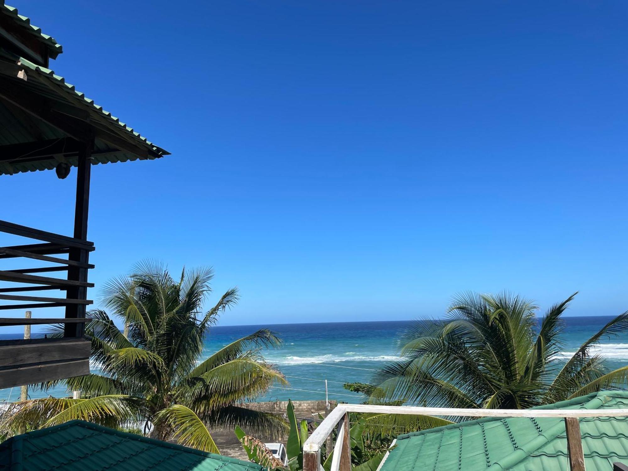 Villa Rasta - Ocean View Bungalows Port Antonio Buitenkant foto